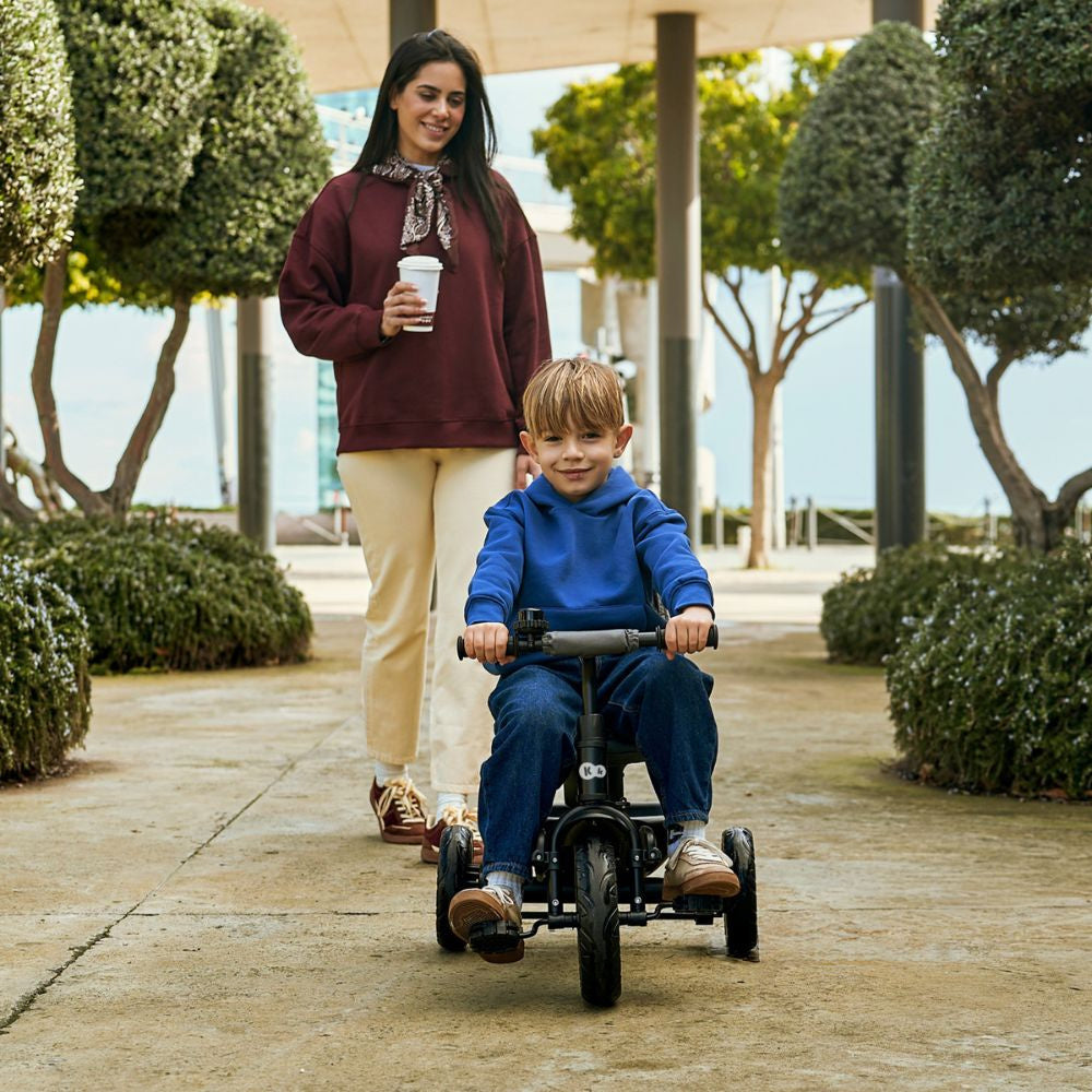 Tricycle ASTON 2 PLUS - 2