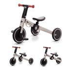 Tricycle 4TRIKE - 1